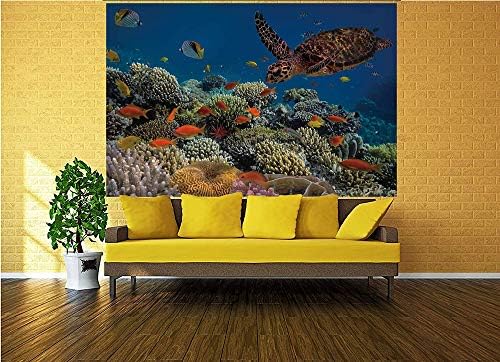 100x100 inç duvar resmi,Balıklar Eski Kaplumbağa Hawksbill Su Altında Yüzer Mercan Resifleri Dahab Kırmızı Deniz Kabuğu ve Sopa