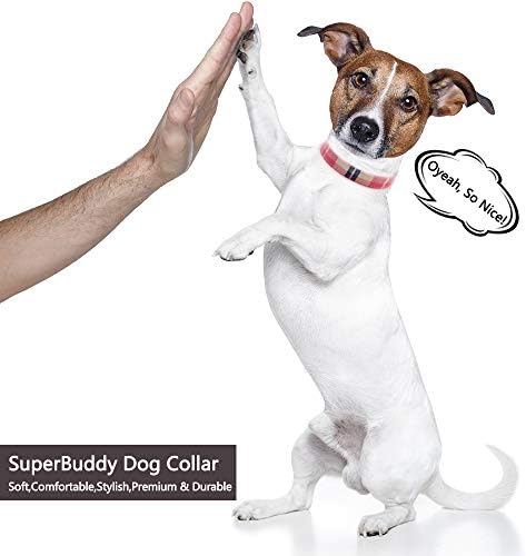 SuperBuddy Premium Ekose Köpek Tasması, Tutuşunu Toka ile Ayarlanabilir Köpek Tasmaları, küçük Orta Büyük Köpekler için Yumuşak