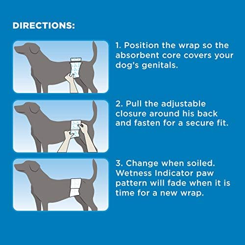 Dört Paws Wee-Wee Süper Emici Tek Kullanımlık Köpek Bezi Gömlekleri 10 Sayısı