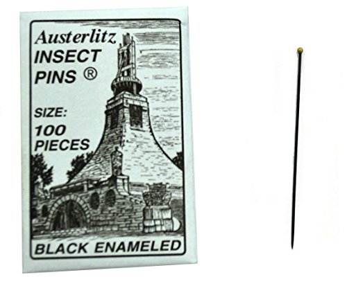 Premium Böcek Entomoloji Diseksiyon Pimleri, Boyut 2, Müze Sınıfı, 100'lü Paket