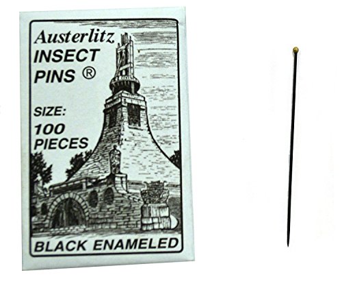Premium Böcek Entomoloji Diseksiyon Pimleri, Boyut 3, Müze Sınıfı, 100'lü Paket