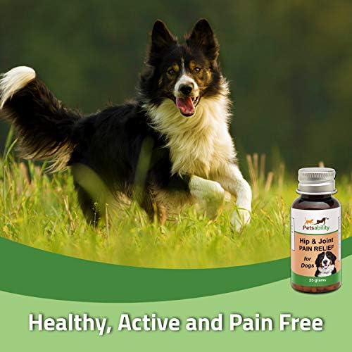 Köpek Kalça ve Eklem Desteği-Tamamen Doğal Evcil Hayvan Takviyesi ve Anti-İnflamatuar, Kronik Artrit Ağrısını Hafifletmeye Yardımcı