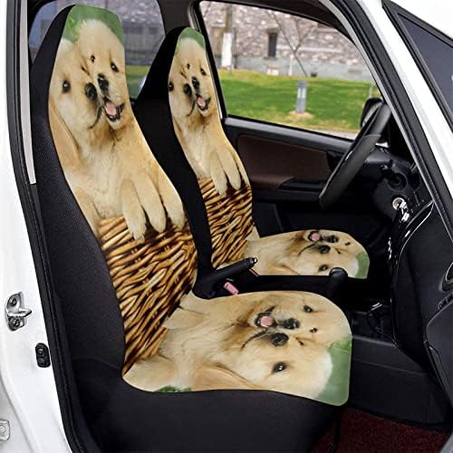 LISNGFJ Köpek Golden Retriever Araba Koltuğu Kapakları, Araç Koltuk Koruyucusu Araba Mat Koruyucu Araba Mat Kapakları Kapakları,