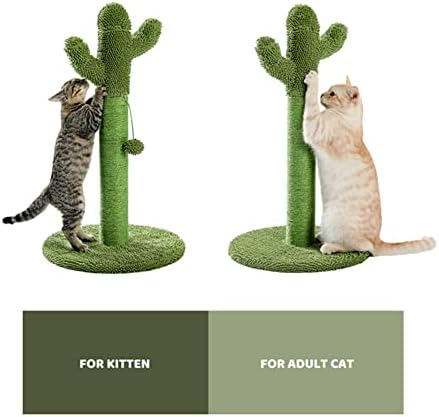 Kaktüs Kedi Tırmalama direği, Tırmalama Direği ile Kedi Yatağı, Kapalı Kediler için Kedi Tırmalayıcıları, Sisal Kedi Tırmalama