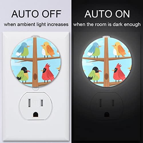 2 Paket Plug-in Gece Lambası LED gece Lambası Kuş Koleksiyonu ile alacakaranlıktan şafağa Sensörü için Çocuk Odası, kreş, mutfak,
