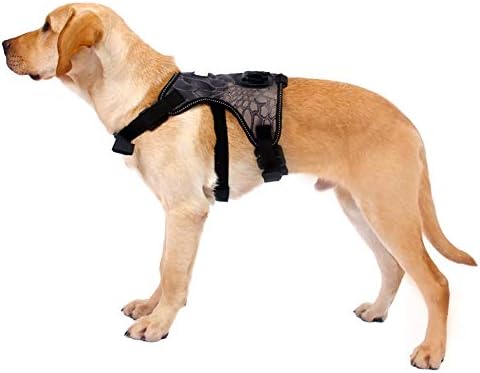 ZHYİNG Hiçbir Çekme Köpek Yelek Koşum, Spor Kamera Tutucu ile, ayarlanabilir Pet Giyim, Yürüyüş Kamp Koşu Hareketi Parkour için
