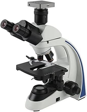 JJSPP 40X-1000X 1600X 2000X Laboratuvar Profesyonel Biyolojik Mikroskop Trinoküler Mikroskop (Boyut: 40X-1000X)