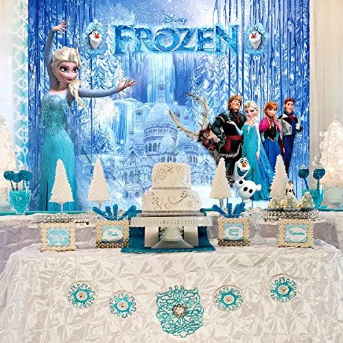 1st Doğum Günü Zemin | Dondurulmuş Fotoğraf | Elsa Anna Prenses / Bebek Duş Afiş / Kızlar için / Arka Plan | Parti Malzemeleri
