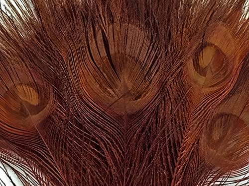 100 Parça-Çikolata Kahverengi Ağartılmış & Boyalı Tavuskuşu Kuyruk Göz Toptan Tüyler (Toplu) 10-12 Uzun Cadılar Bayramı Zanaat