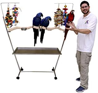 Büyük Paslanmaz Çelik Papağan Oyun Standı