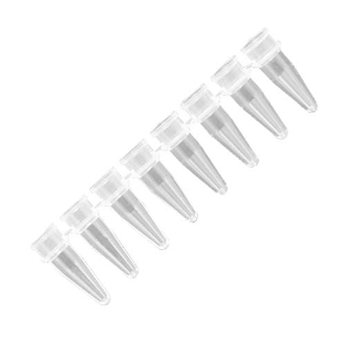 Axygen PCR-0208-CP-C İnce Duvarlı 8 Şeritli PCR Tüp Şeritleri, Kubbeli Şeffaf Şerit Kapaklı, 0.2 mL, Şeffaf PP (1 Kutu: Tüpler