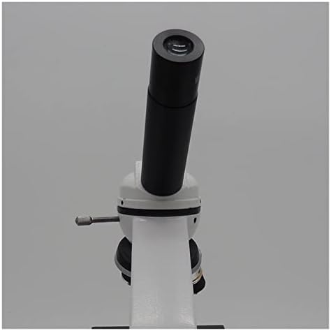 ZQJSKJ Dijital Mikroskop 1600X Öğrenci Mikroskop Öğrenci Profesyonel Biyolojik Mikroskop HD Yüksek Büyütme Deney (Boyut : XSP-T35-1600X)