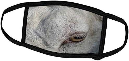 3dRose Susans Hayvanat Bahçesi Ekip Hayvanları-saanen Keçi Gözü-Yüz Örtüleri (fc_184805_2)