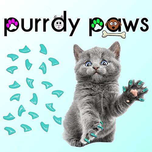 Kediler için Purrdy Paws Turkuaz Yumuşak Tırnak Kapakları-6 Aylık Tedarik-Ekstra Yapıştırıcılar