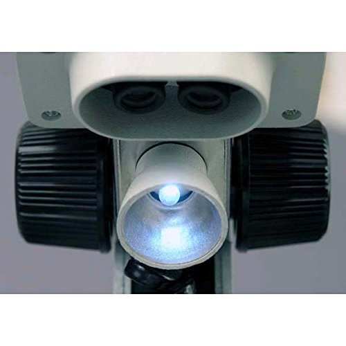 AMSCOPE-Çocuklar SE100Y - LED Çocuklar Öğrenci Ev Okulu Taşınabilir LED Stereo Mikroskop 20X ve 30X