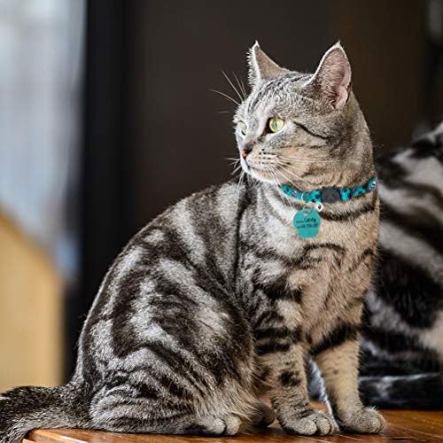 PUPTECK Ayrılıkçı Kedi Yaka ile Çan-2 Paketi Kişiselleştirilmiş Kafatası Desen Yaka ile Ahşap KIMLIK Etiketi için Yavru Kitty