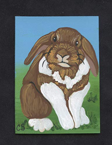 ACEO ATC Orijinal Boyama-Lop Kulaklı Pet Tavşan Tavşan Sanatı-Carla Smale