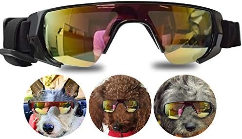 GLE Köpek Gözlüğü, göz Koruması (Yeni Sürüm) Küçük Köpek Güneş Gözlüğü için Su Geçirmez Rüzgar Geçirmez UV Koruma için Ayarlanabilir