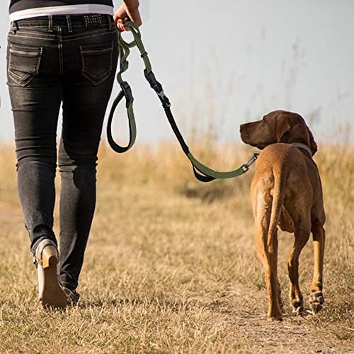 Eğitim, Yürüyüş, Koşu veya Koşu için Fulvara Ağır Hizmet Tipi Eller Serbest Köpek Tasması Bel Kemerli Dayanıklı Bungee Köpek