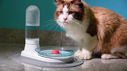 meinno Elektriksiz Evcil Hayvan Çeşmesi, Filtresiz Kedi Çeşmesi Kedilerinizi ve Köpeklerinizi Her Gün Temiz Suyla Tutmak için