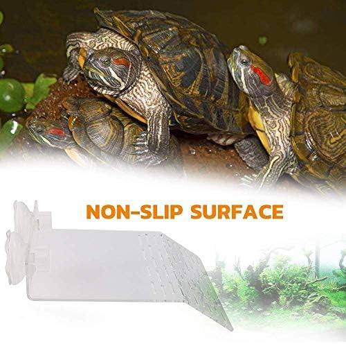 Payanwın Büyük Boy Akrilik Plastik Kaplumbağa Dinlenme Terası, Balık Tankı Akvaryum Kaplumbağa Basking Platformu ile 2 ADET Vantuz